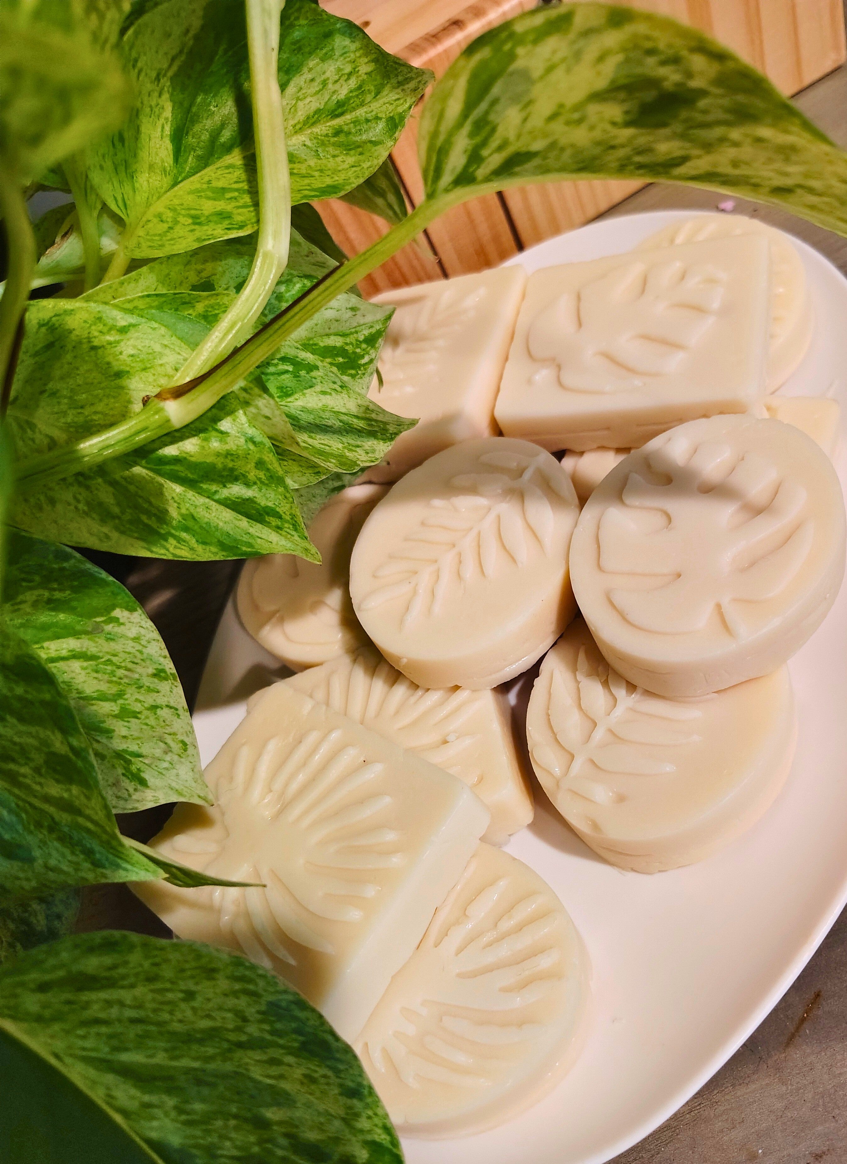 Tallow Shower Scrub Bars