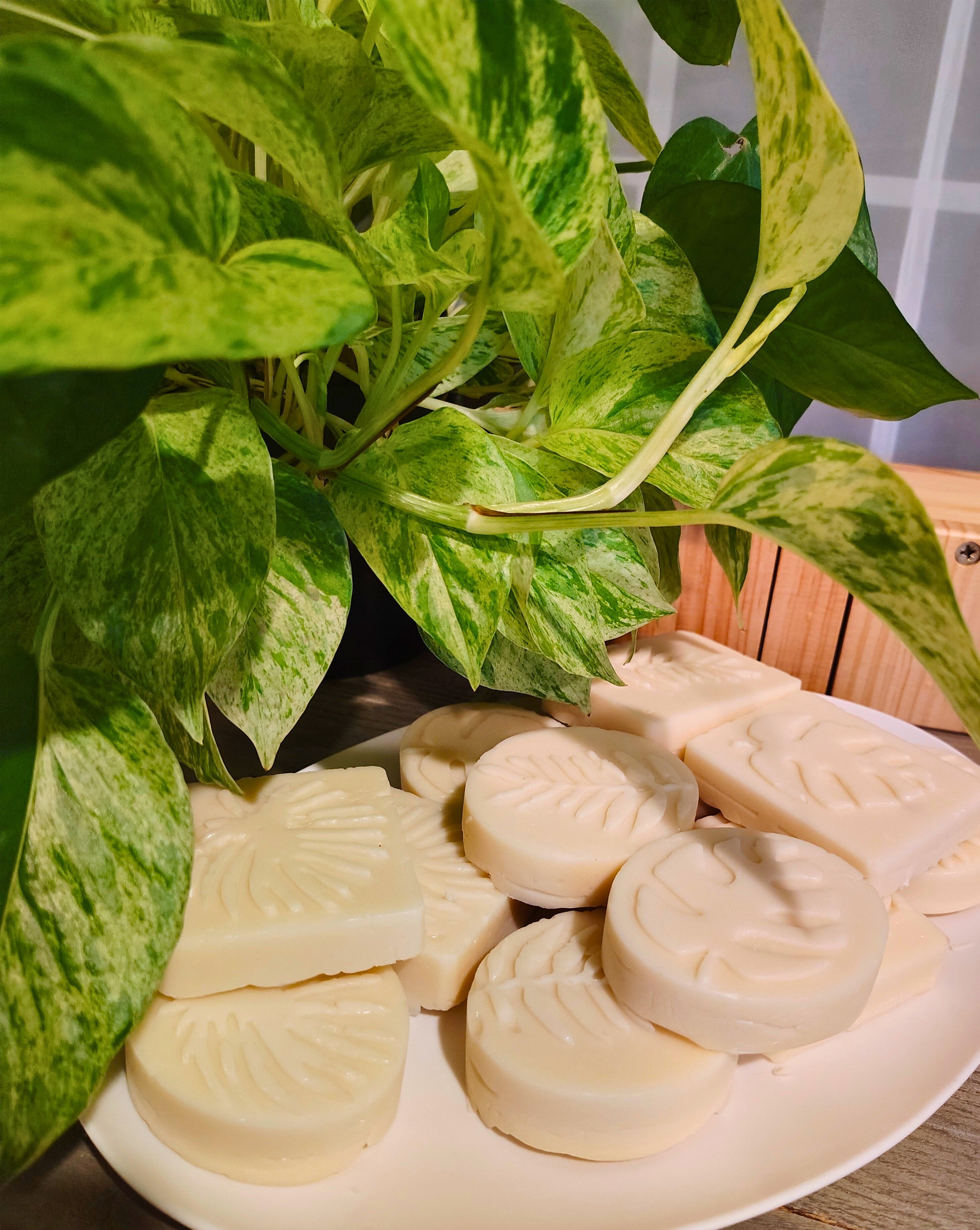 Tallow Shower Scrub Bars