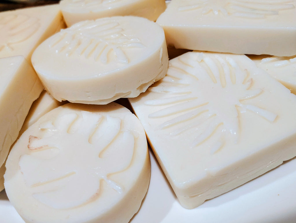 Tallow Shower Scrub Bars